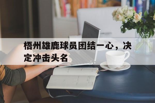 梧州雄鹿球员团结一心，决定冲击头名的简单介绍